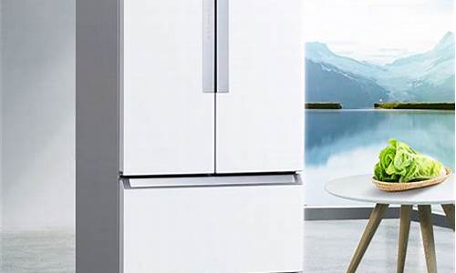 西门子冰箱质量排行榜_西门子冰箱质量排行榜前十名
